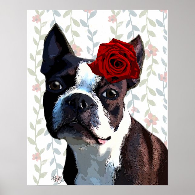 Póster Boston Terrier con Rosa en la cabeza (Frente)