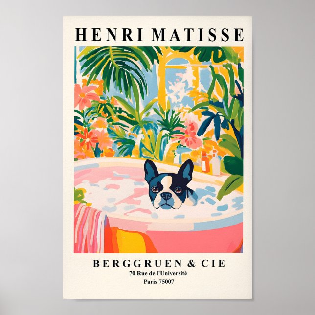 Póster Boston Terrier En Bañera, Funny Poster De Baño, (Frente)