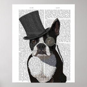 Póster Boston Terrier, hedor formal y Gorra