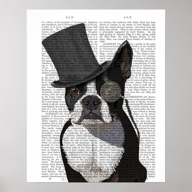 Póster Boston Terrier, hedor formal y Gorra (Frente)