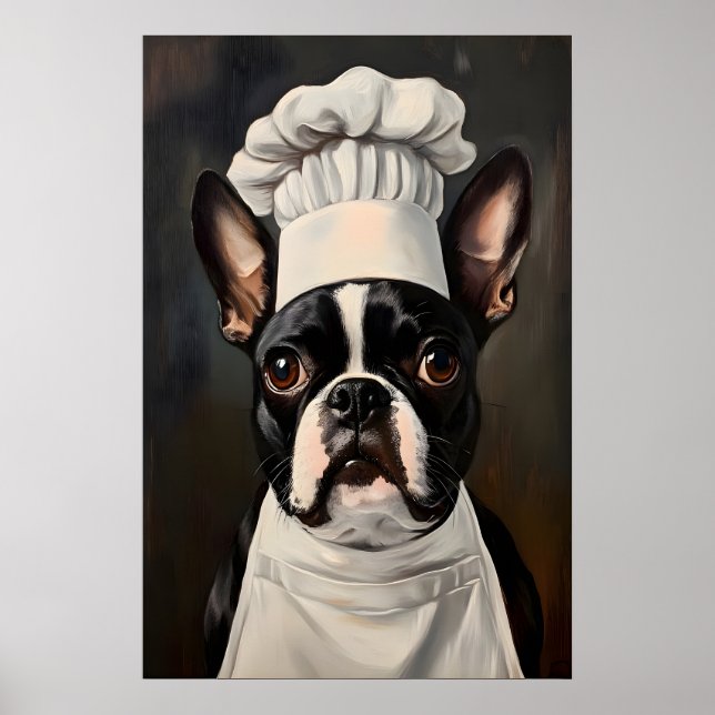 Póster Boston Terrier In Chefs Hat Poster, Pet Art (Frente)