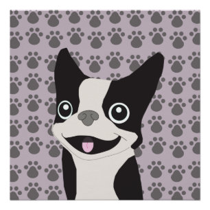 Póster Boston Terrier, lavanda púrpura