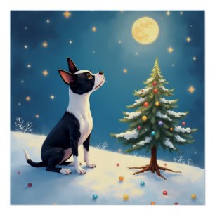 Póster Boston Terrier Midnight Star-Gazing Navidad