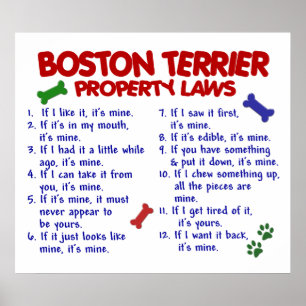 PÓSTER BOSTON TERRIER PL2