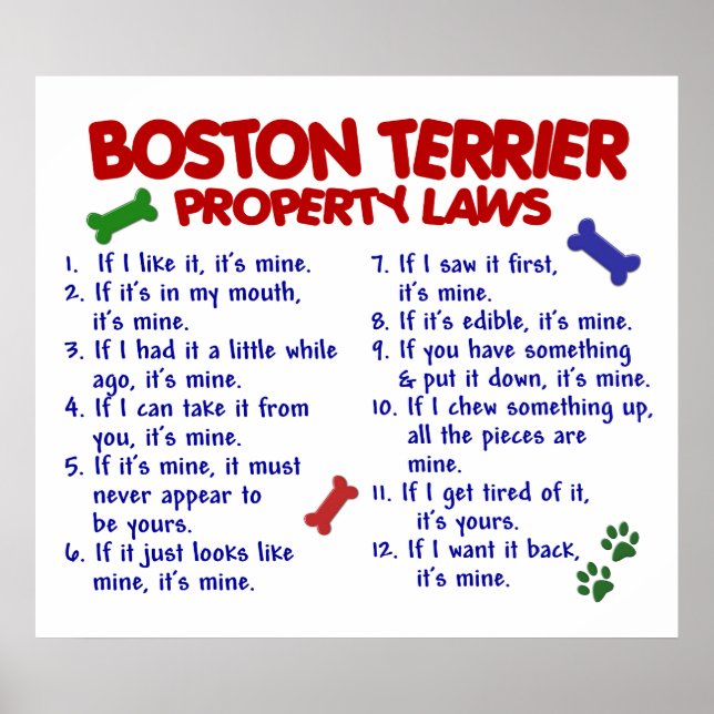 PÓSTER BOSTON TERRIER PL2 (Frente)