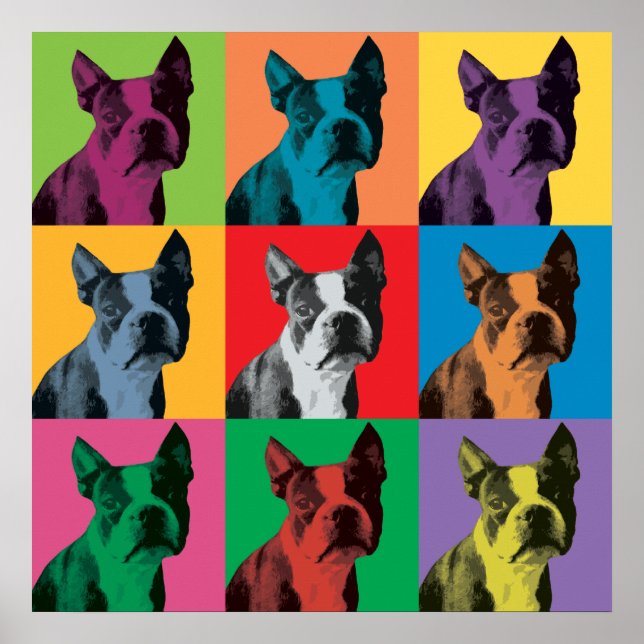 Póster Boston Terrier Pop-Art Poster (Frente)