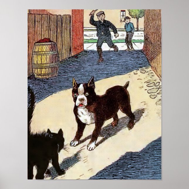 Póster Boston Terrier se encuentra con el gato (Frente)