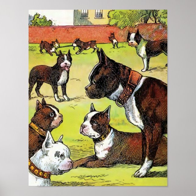Póster Boston Terrier y cachorros Ilustracion de época (Frente)