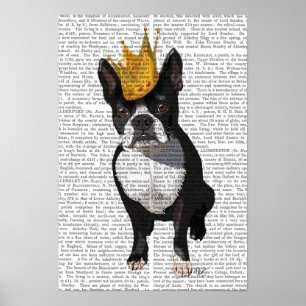 Póster Boston Terrier Y Crown
