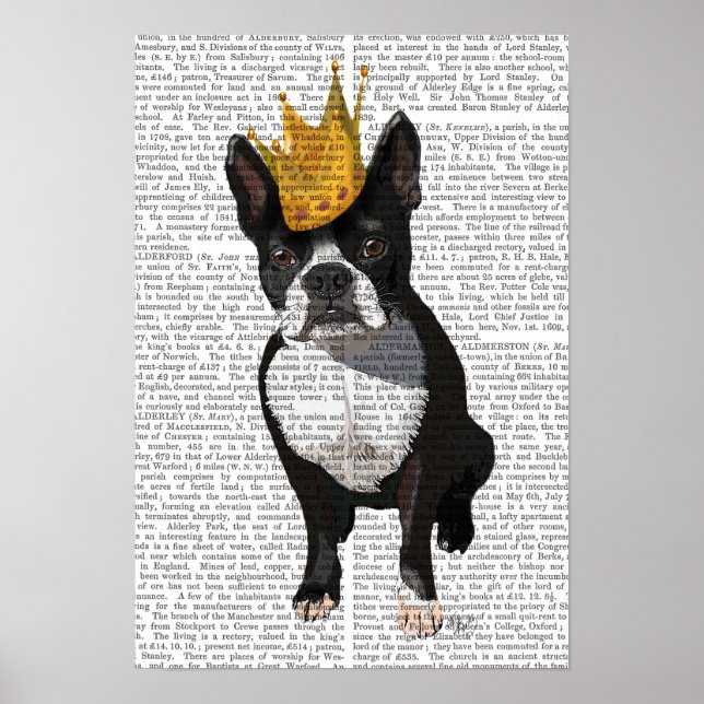 Póster Boston Terrier Y Crown (Frente)