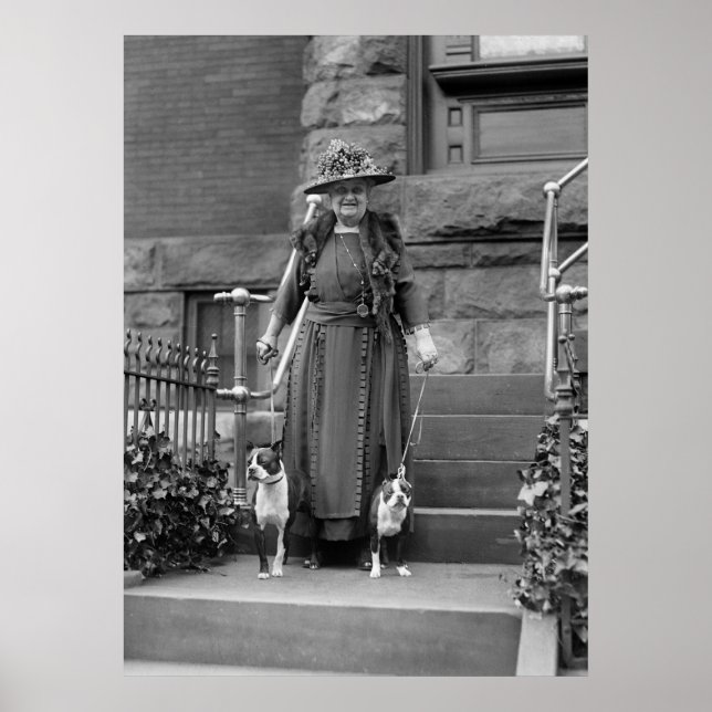 Póster Boston Terriers y la moda de los años 20 (Frente)