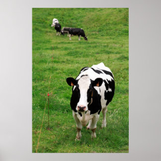 Póster Bota de Holstein
