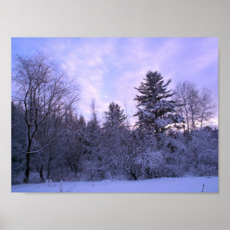 Póster Bota de invierno (4)