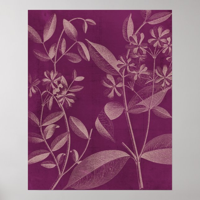 Póster Botánica moderna III (Frente)