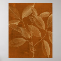 Botánica moderna VI