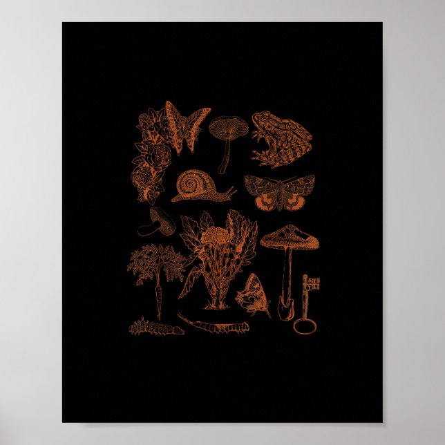 Póster Botanical Art, Frog Fungi Goblincore Aesthetic Cot (Frente)