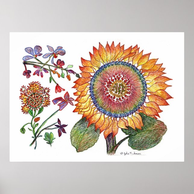 Póster botánico46 (Frente)