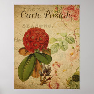 Póster Botánico Antiguo - Rhododenron