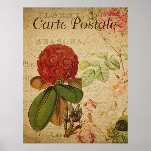 Póster Botánico Antiguo - Rhododenron (Frente)