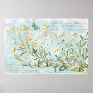 Póster Botánico azul