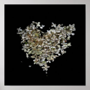 Póster Botánico Corazón de Hortensia