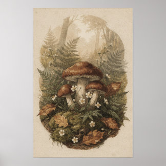 Póster Botánico de Bosque de Hongos de Bosque y He