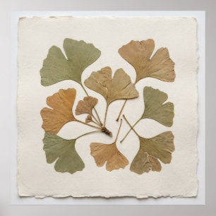 Póster botánico de hoja de Ginkgo