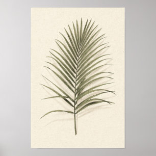 Póster botánico de hoja de palma verde