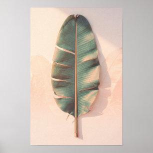 Póster botánico de hoja de plátano