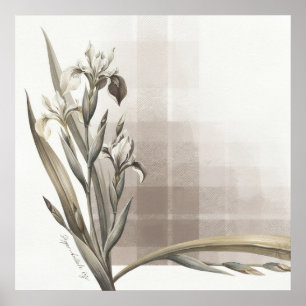 Póster Botánico de Iris de Marfil con Tartán Neutr
