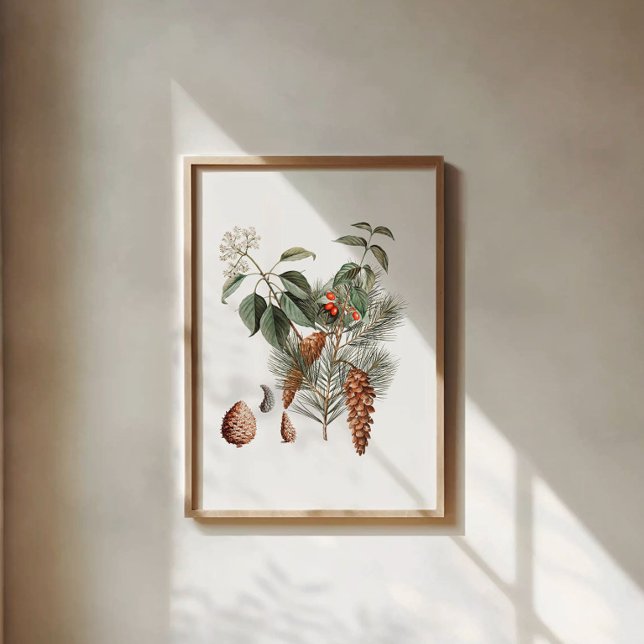 Póster Botánico del bosque - Piña y baya (Subido por el creador)