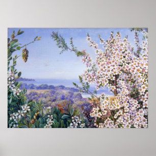 Póster Botánico Real de Marianne North