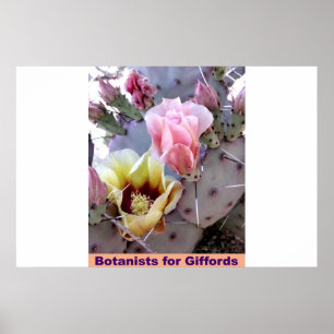 Póster Botánicos para Giffords