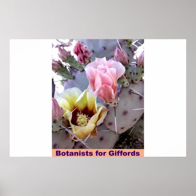 Póster Botanistas De Giffords (Frente)