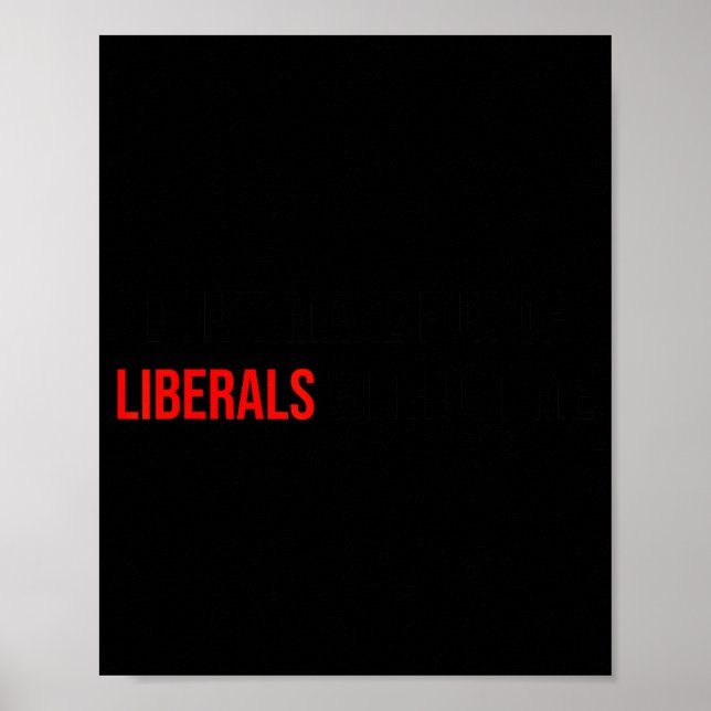 Póster (both Side) Don't Make Fun Of Liberals Without Me  (Frente)