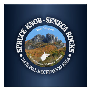 Póster Botón Spruce - el Seneca oscila al NRA