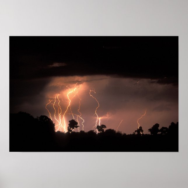 Póster Botswana, Reserva Natural de Moremi, Relámpagos (Frente)