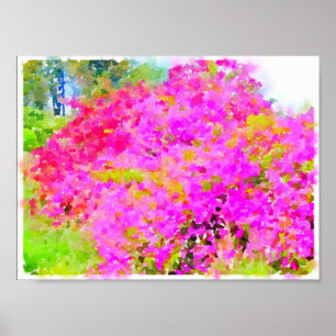 Póster Bougainvillea bush,watercolor painting