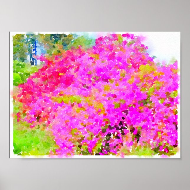 Póster Bougainvillea bush,watercolor painting (Frente)