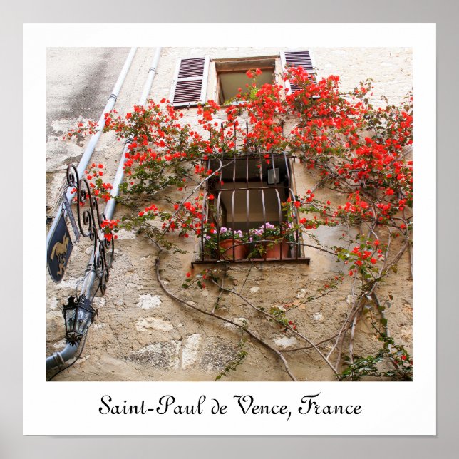 Póster Bougainvillea en la ventana (Frente)