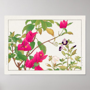 Póster Bougainvillea, flor de hueso, por Tanigami Konan