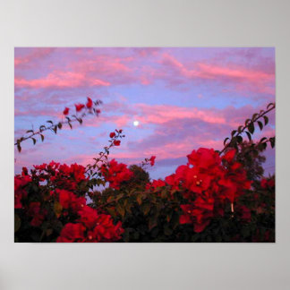 Póster Bougainvilleas y Luna llena al atardecer