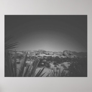 Póster Boulders de árbol Joshua blanco y negro cinemático