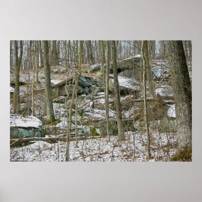 Póster Boulders en Winter Woods Poster (Frente)