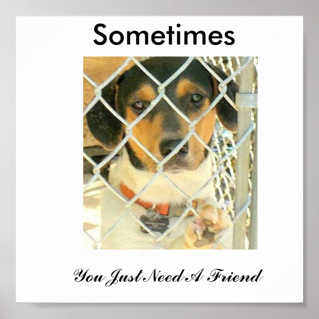 Póster Bouncer (Frente)