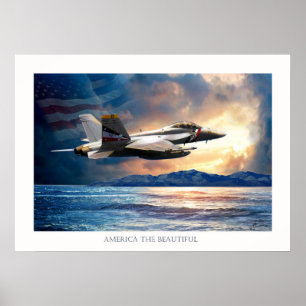 Póster Bounty hunter F 18 jet de combate