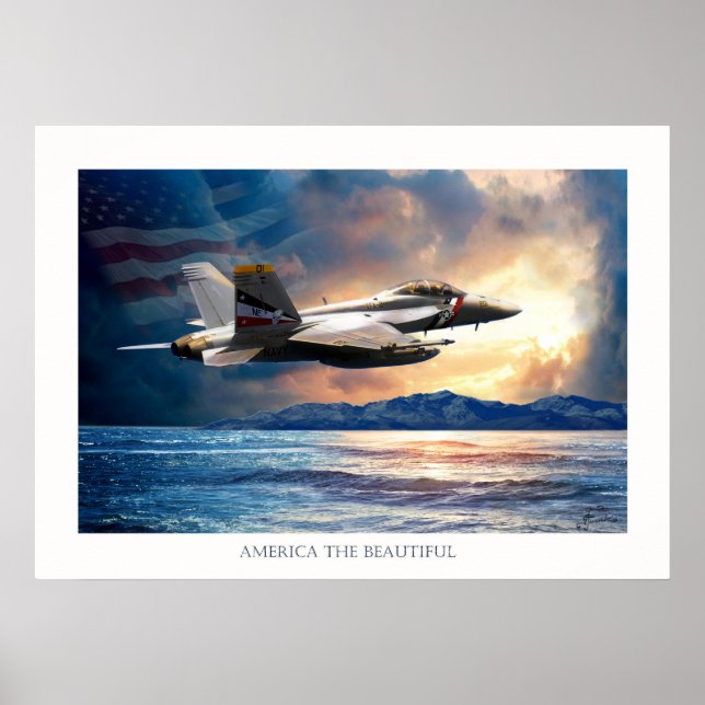 Póster Bounty hunter F 18 jet de combate (Frente)