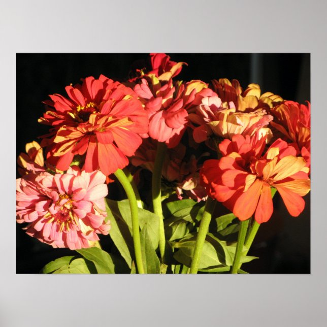 Póster Bouquet de Brooklyn (Frente)