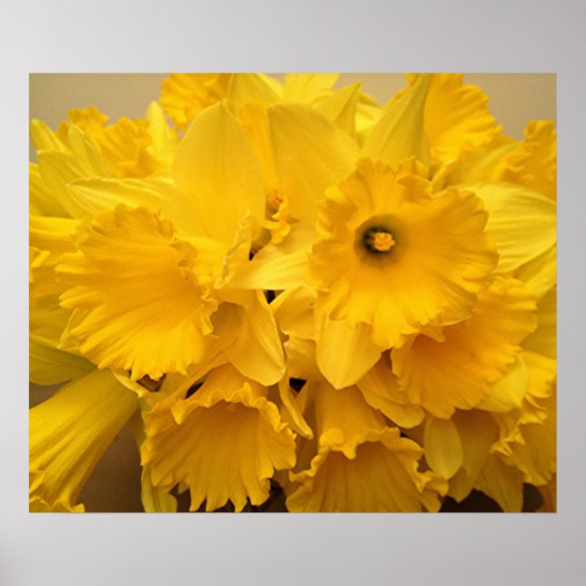 Póster Bouquet de Daffodils (Frente)