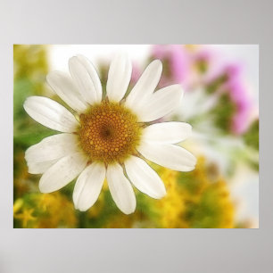 Póster Bouquet de flores - Daisy blanco